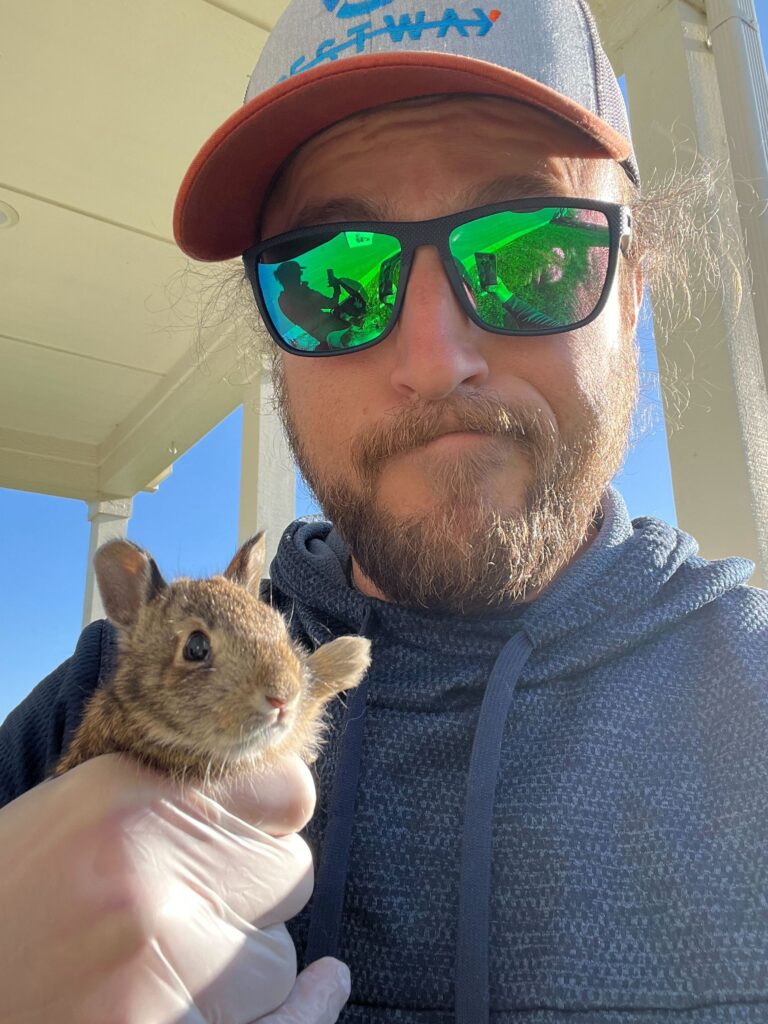 Squirrel control Fairfax